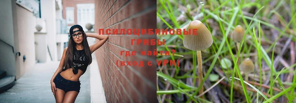 наркотики Алексин