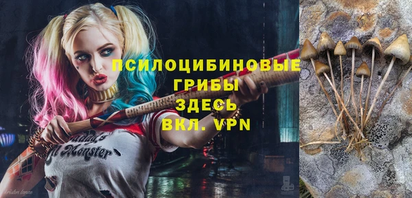 спиды Алзамай