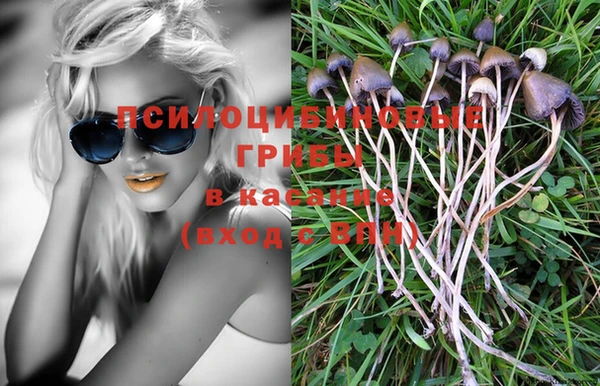 спиды Алзамай